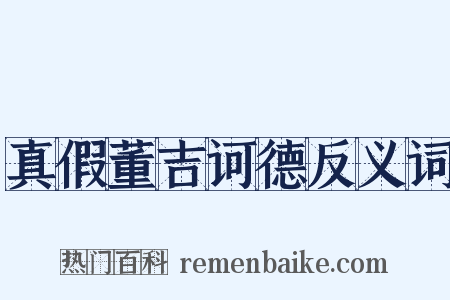 真假董吉诃德反义词是什么意思的图片